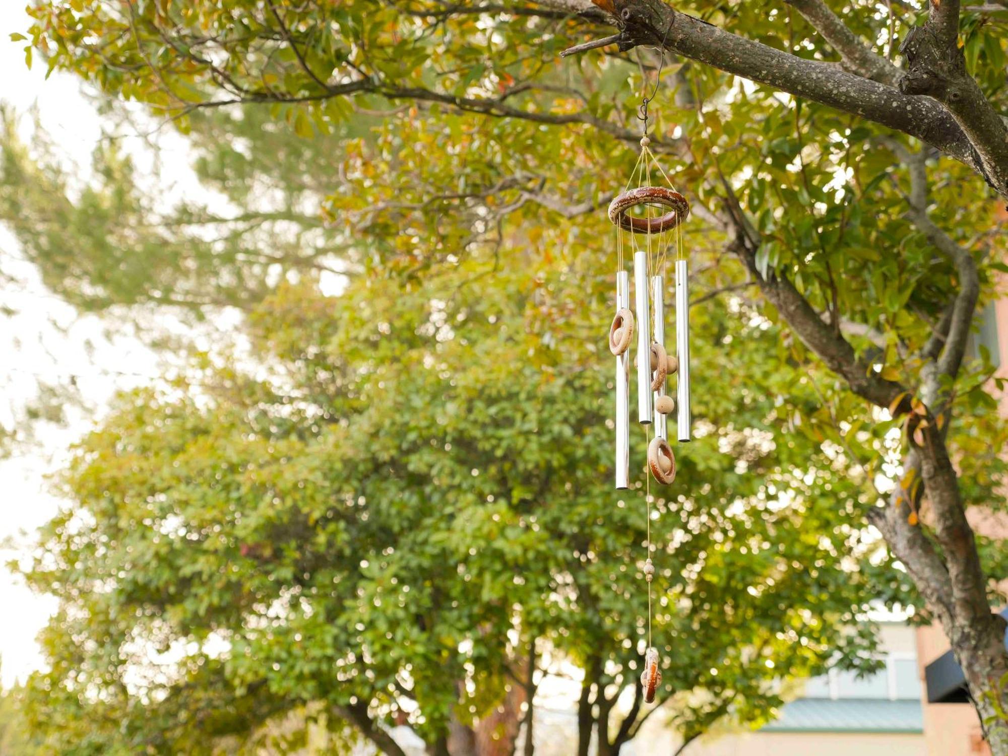 Ashland Commons Hostel Exterior photo
